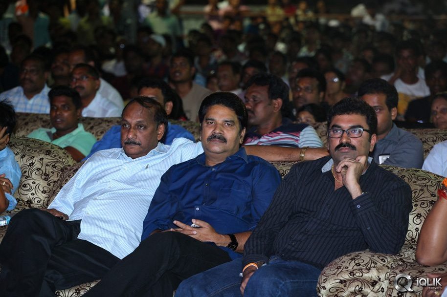Loukyam-Movie-Audio-Success-Function